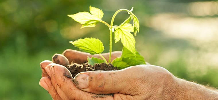 En Pro Del Medio Ambiente